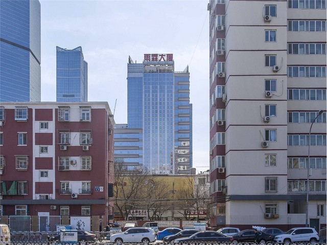 宝安区快速阅读推荐咨询